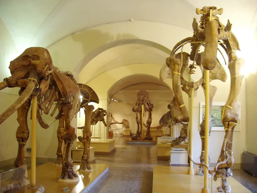 firenze bambini itinerari.jpg