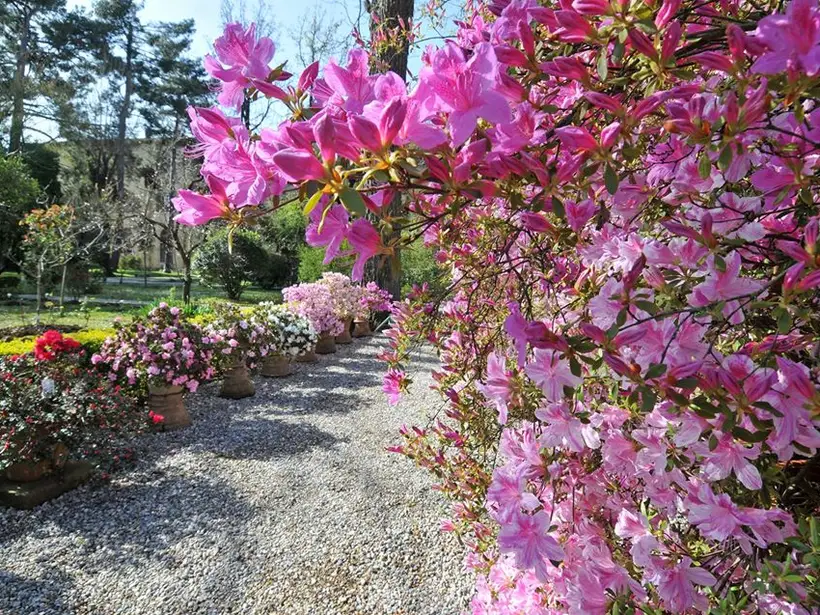 parchi-giardini-poi.jpg