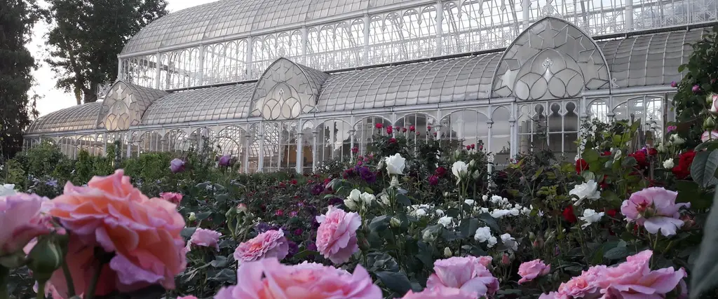 giardino di orticultura- tepidarium
