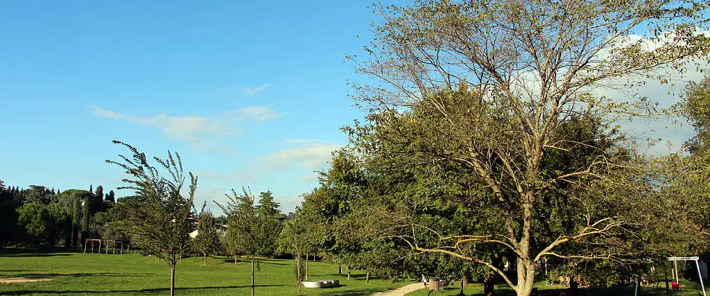 Area Pettini Burresi
