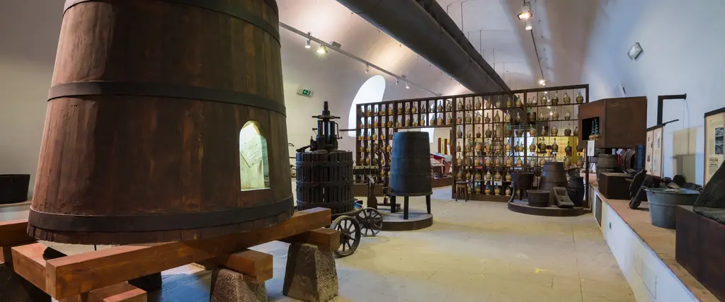 Museo della Vite e del Vino Rufina