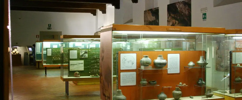 Museo e Istituto Fiorentino di Preistoria