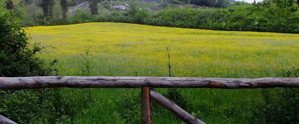 Parco di Mondeggi