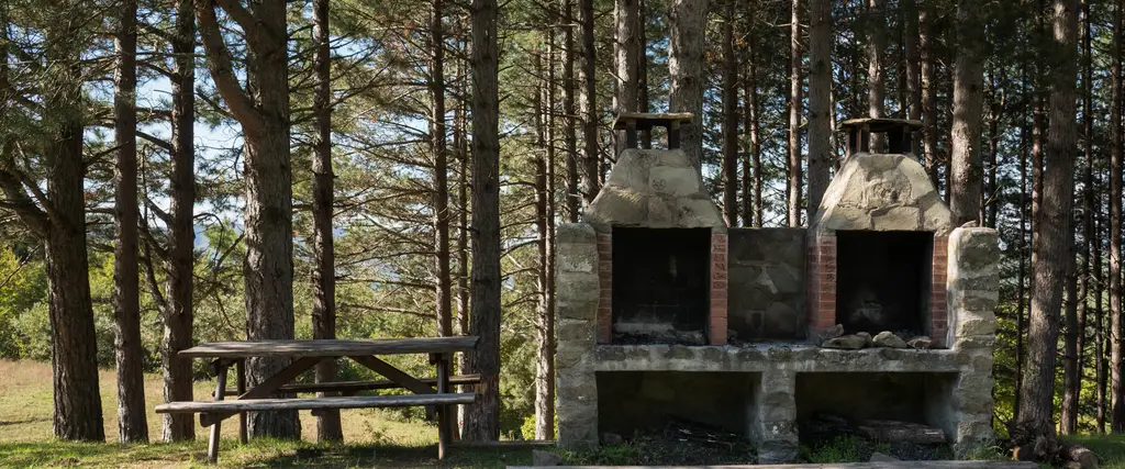 Parco Nazionale delle Foreste Casentinesi, Monte Falterona e Campigna
