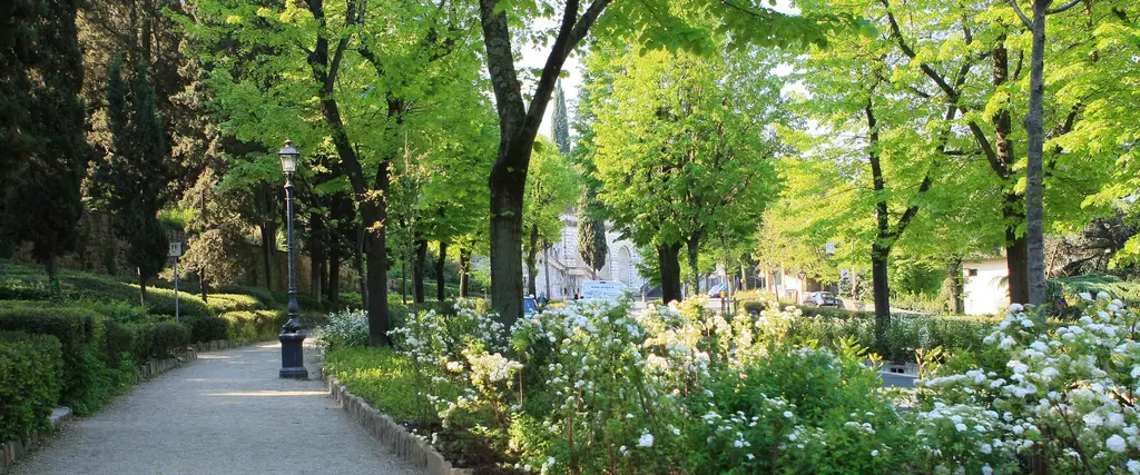 Viale dei Colli