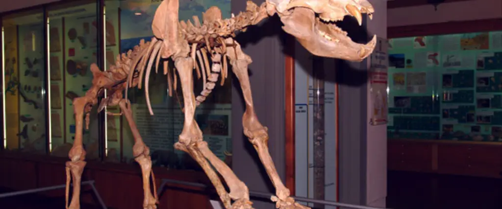 Museo Civico di Paleontologia