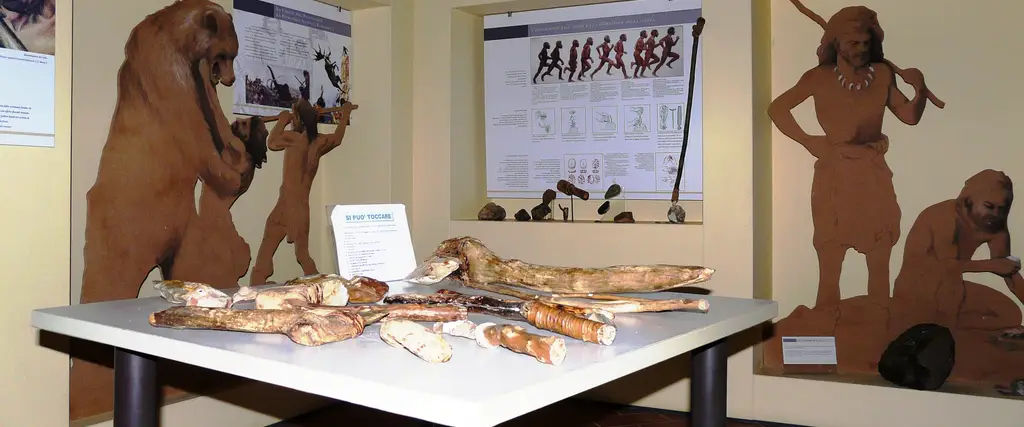 Centro di Documentazione Archeologica di Sant'Agata