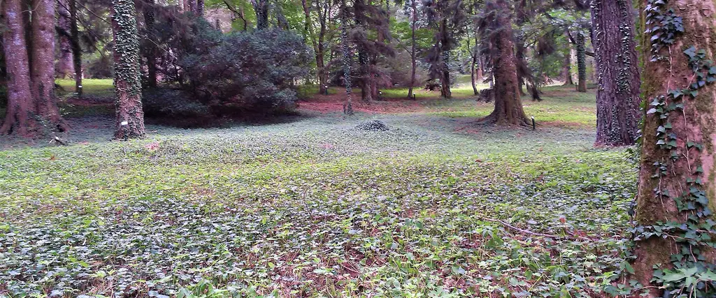 Arboreti Sperimentali di Vallombrosa 