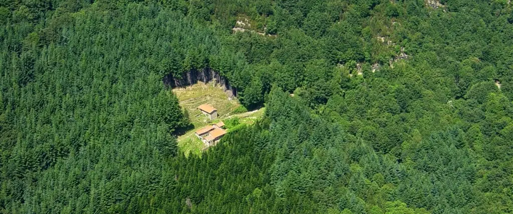 Foresta Sant'Antonio