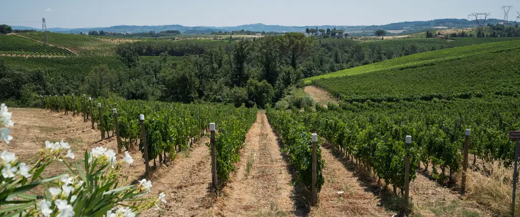Da Malmantile alla Val di Pesa