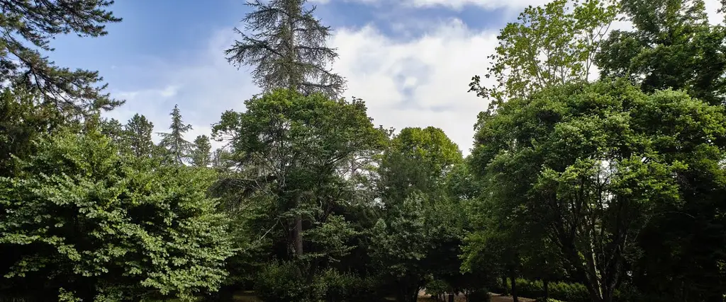 Parco di Villa Strozzi al Boschetto