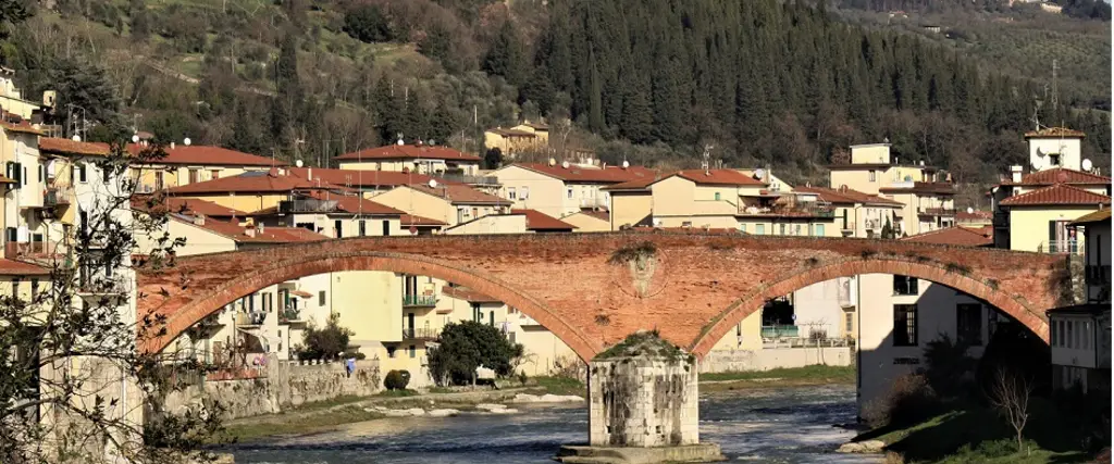 Ponte Mediceo Immagine del Ponte Mediceo di Pontassieve
