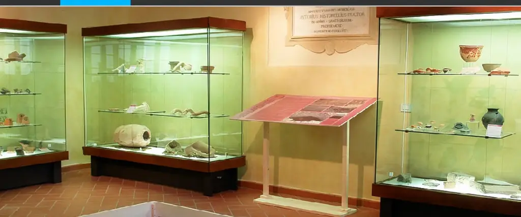 Museo Civico