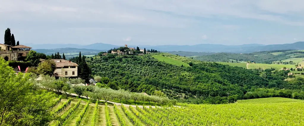 Panorama del Chianti dal Castello di Verrazzano