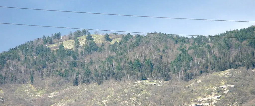 Poggio Casaccia