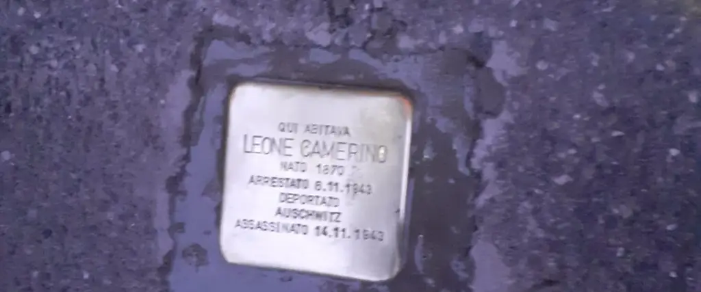 Pietra di leone camerino