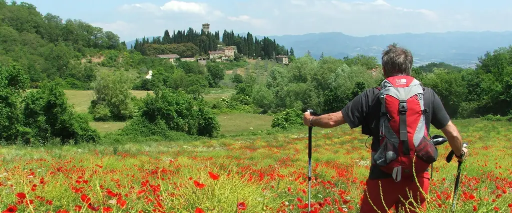 In vista del Trebbio