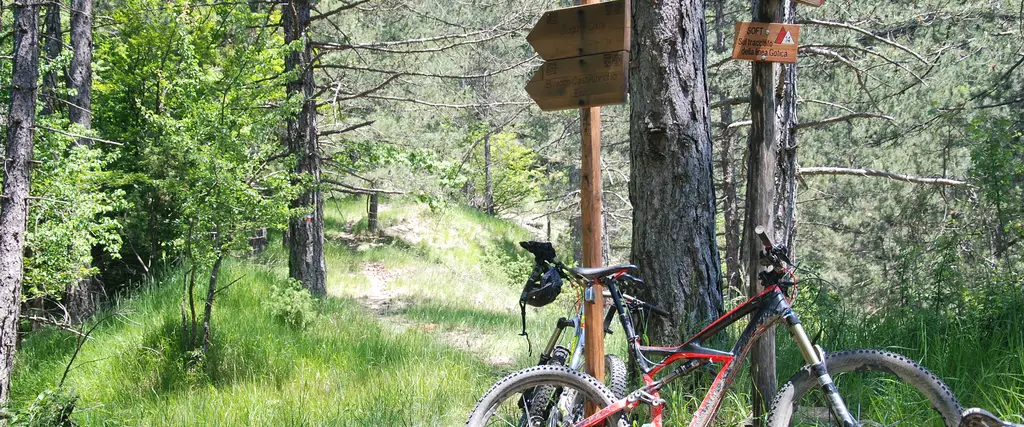 MTB trek