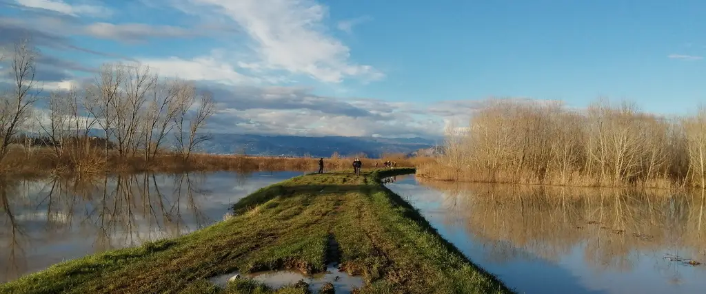 Padule di Fucecchio