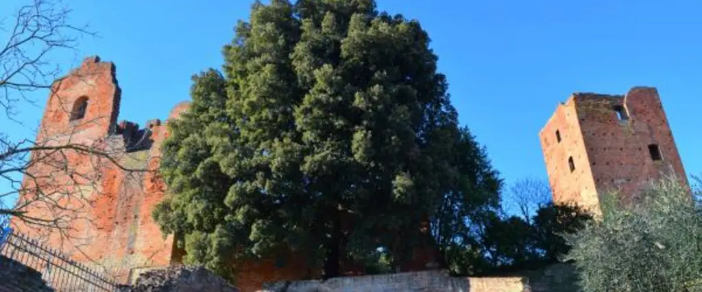 Parco Corsini