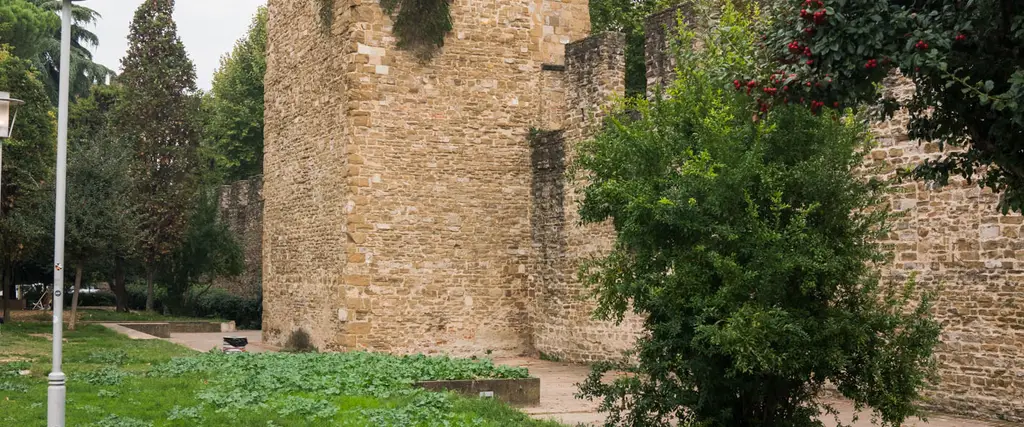 torrino di verzaia