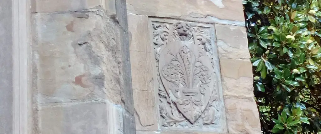dettaglio