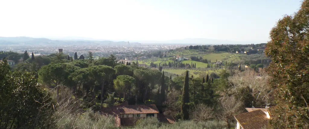 panorama panorama