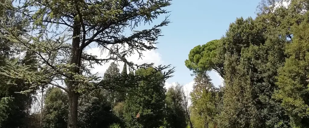 Parco di Villa Solaria