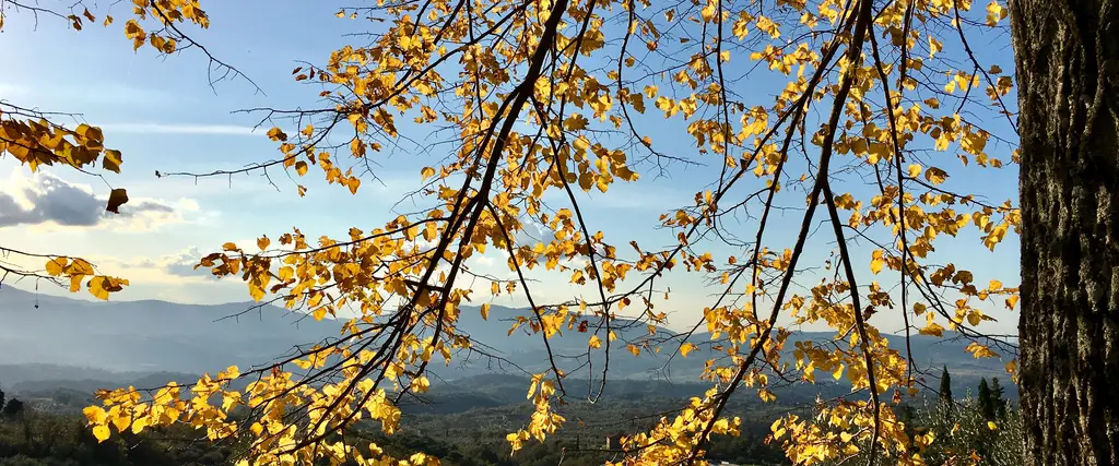 autunno autunno