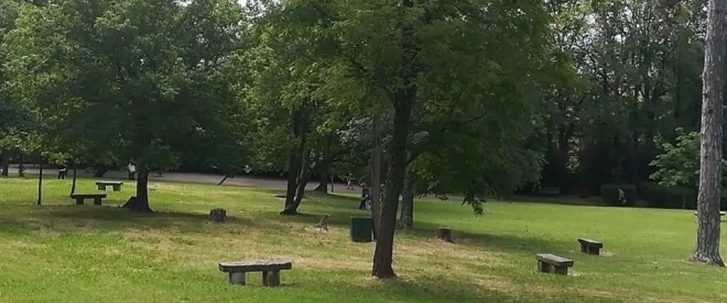 il parco