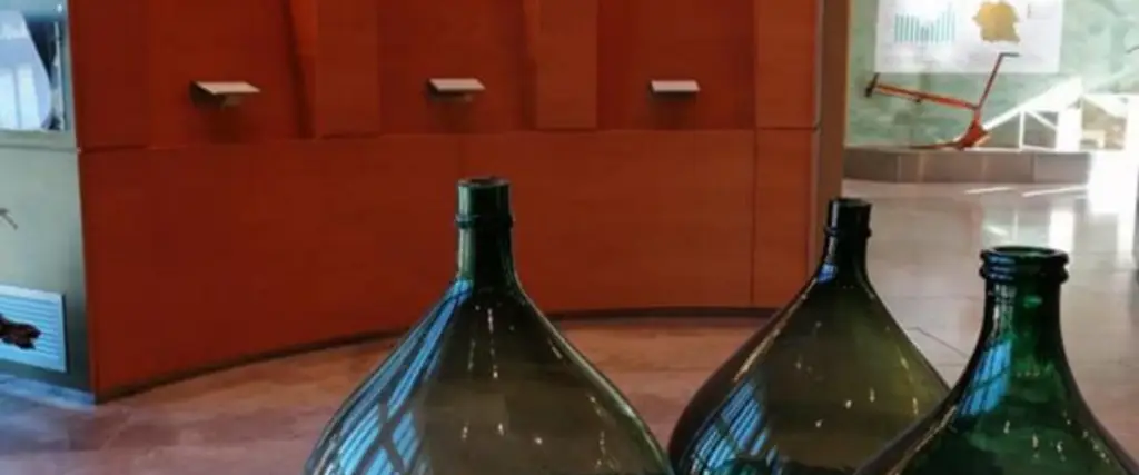 Centro per la Cultura del Vino I Lecci