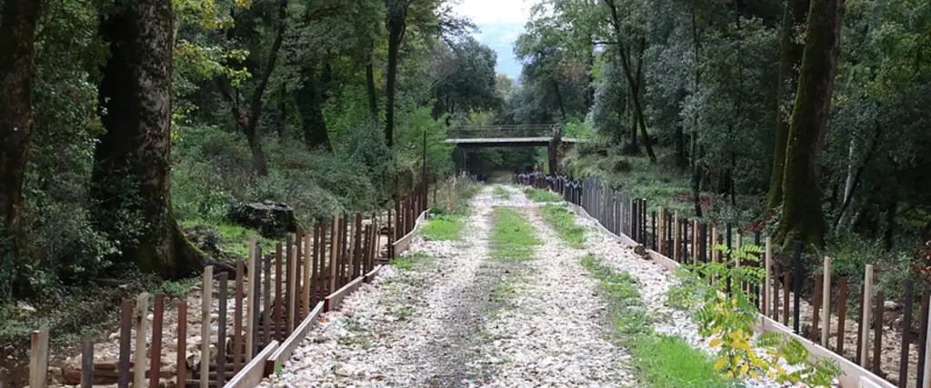 Viale degli Zampilli