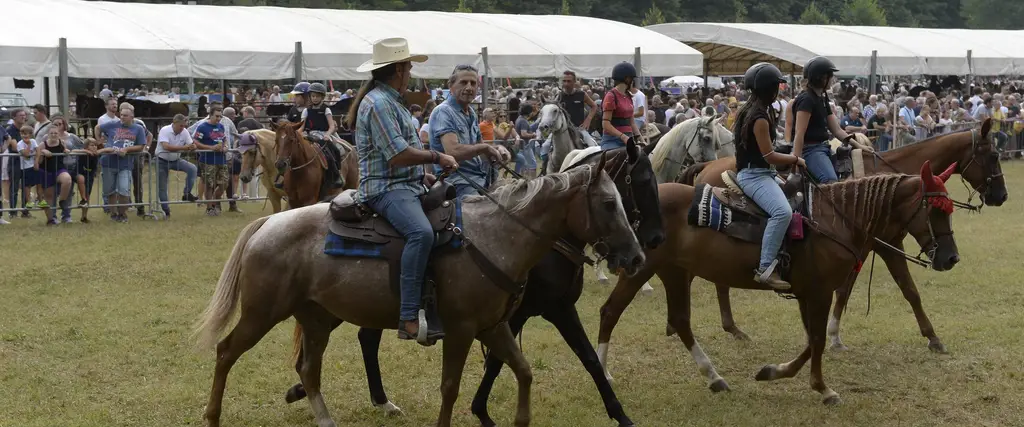 Fiera Calda di Vicchio, Mugello con la Fiera del Bestiame
