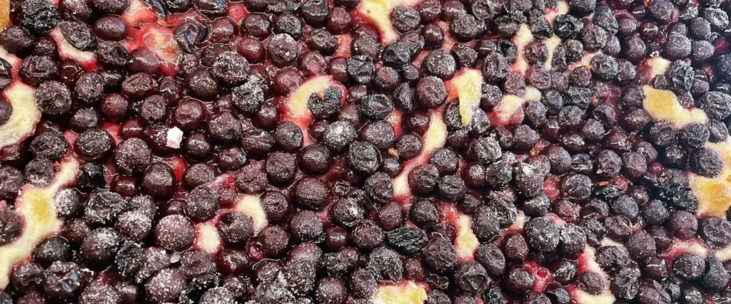 Schiacciata con l'uva
