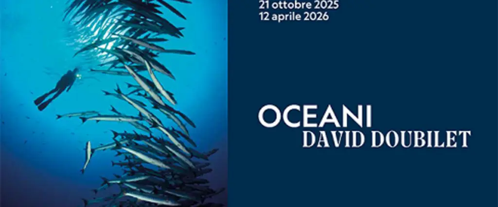 Oceani - David Doubilet