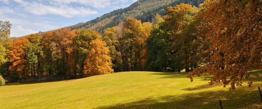 Vallombrosa in Autunno