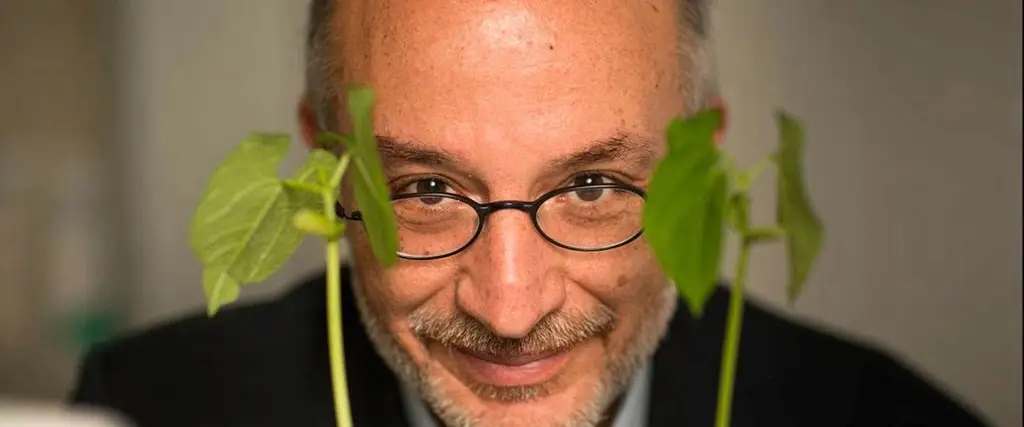 immagine di Stefano mancuso