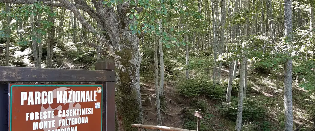Parco Nazionale delle Foreste Casentinesi