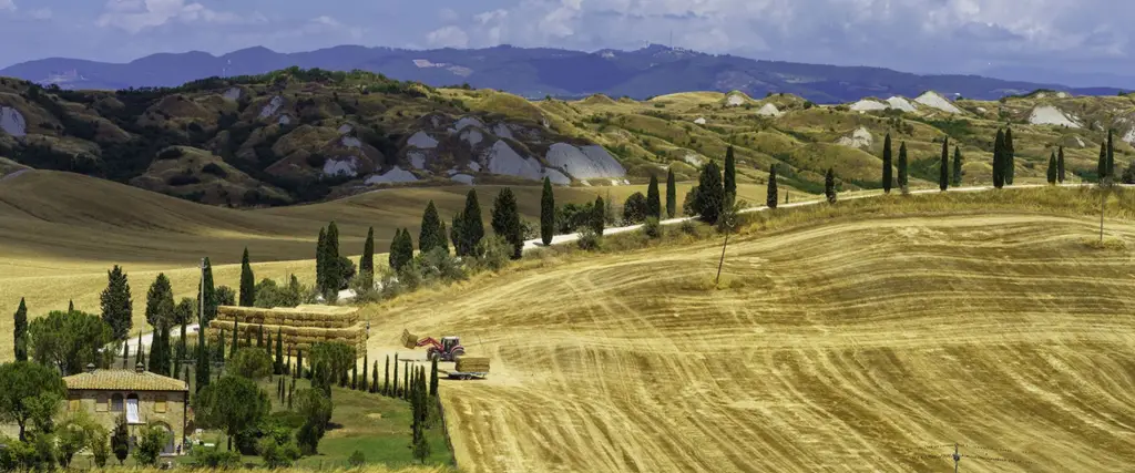 Maggio Metropolitano