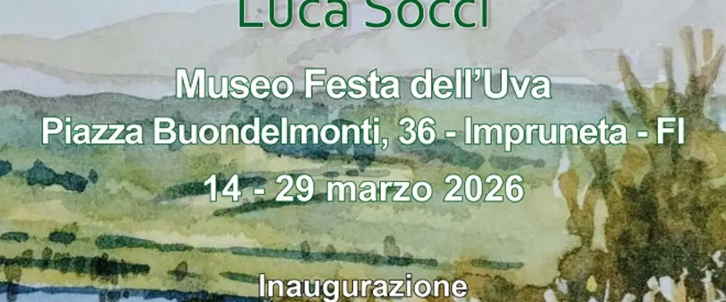Luca Socci