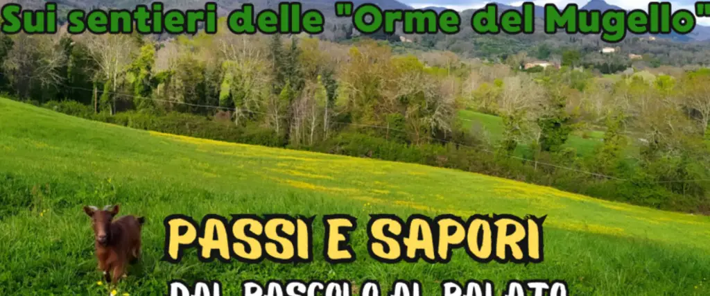 Passi e sapori