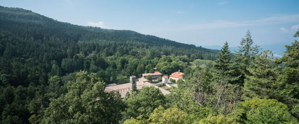Foresta di Vallombrosa