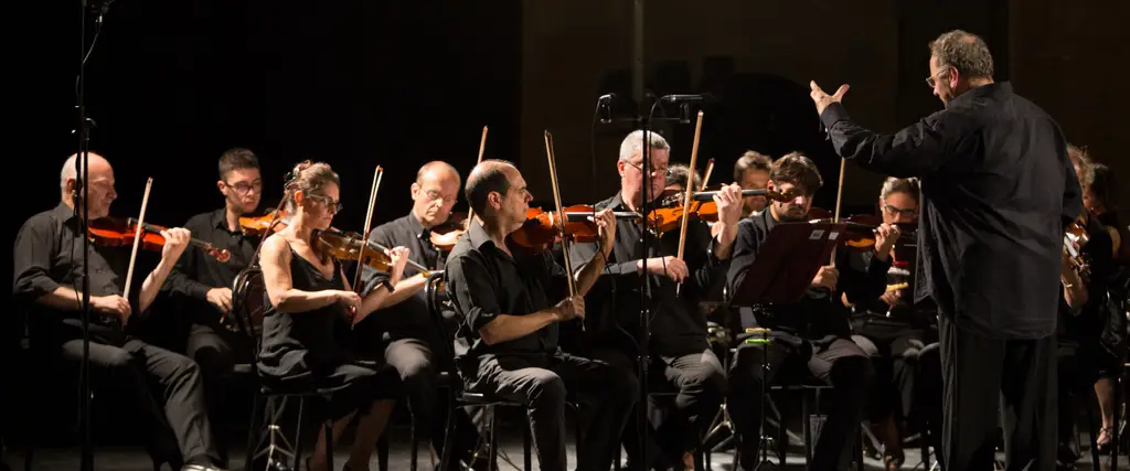 Orchestra da camera