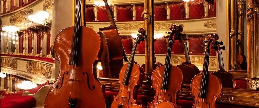violini