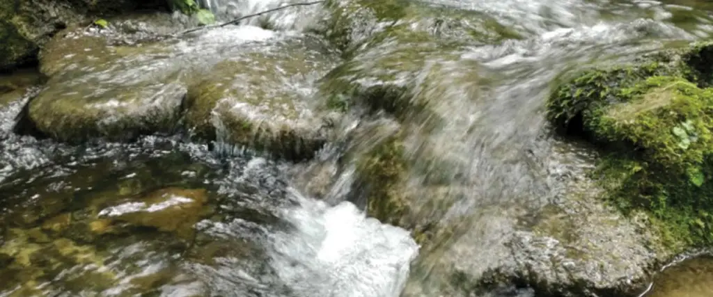 Torrente Carzola
