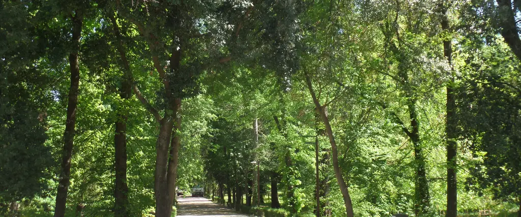 Le Cascine2