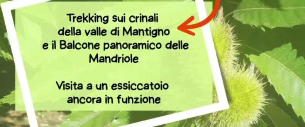 Trekking Palazzuolo
