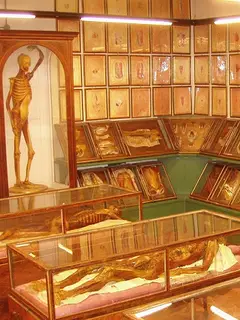 La Specola