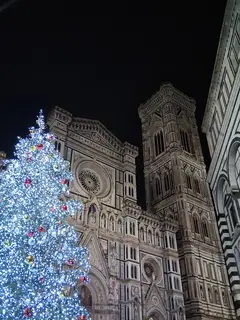 Albero di Natale in piazza del Duomo