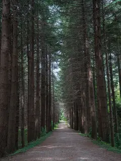 Monte Senario